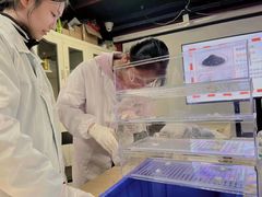 -智勇青少年科创·科学实验·社会实践·课题研究(杨浦本溪校区)