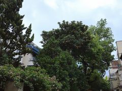 -常熟路(地铁站)