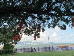 -碧桂园十里银滩