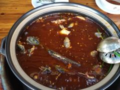 -金海椒罐罐鲢鱼(东方桂苑店)