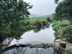 -中国茶叶博物馆(双峰馆区)