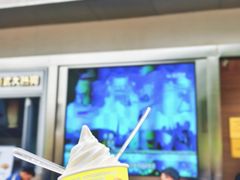 -大兴滨河森林公园