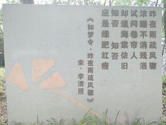 -青枫公园