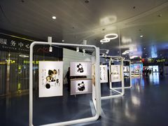 -银川河东国际机场