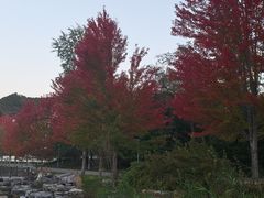 -北京宽沟会议中心