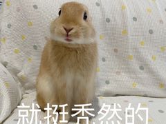 -永和大王(北京站内一店)