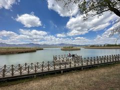 -野鸭湖国家湿地公园