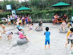 -季高兔窝窝亲子园(上海薰衣草公园店)