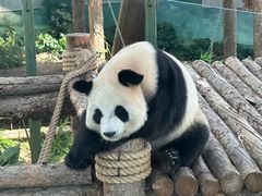 -大连森林动物园