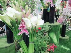 -上海鲜花港