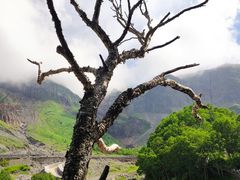-峡谷浮石林景区