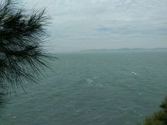 -大鹿岛