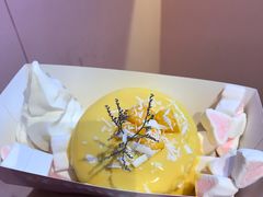 -狐狸和向日葵(北京路店)