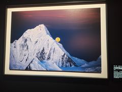 -罗红摄影艺术馆