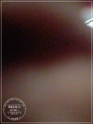 -型色沙龙 Color Salon