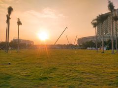 -宝安西湾红树林湿地公园