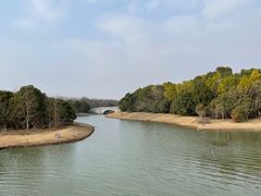 -上海海湾国家森林公园