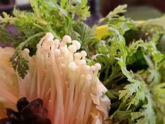 -北门涮肉·炭火铜锅涮肉(什刹海店)