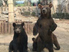 -石家庄市动物园