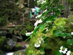 -藏龙百瀑风景区