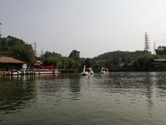 -观澜山水田园
