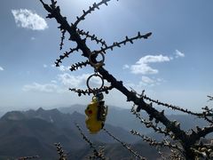 -秦岭风景区