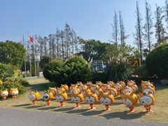 -上海长兴岛郊野公园