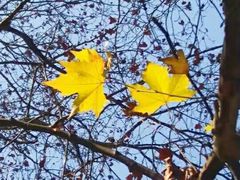 -湖南省立第一师范学校旧址