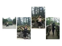 -南山植物园