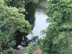 -大围山国家森林公园