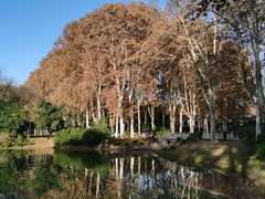 -河南省黄河迎宾馆