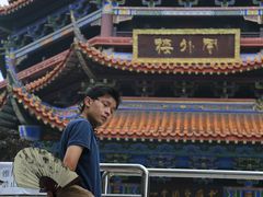 -铁山坪森林公园