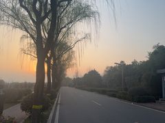 -洨河生态公园