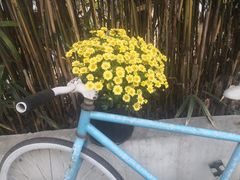 -海边的猫和咖啡馆