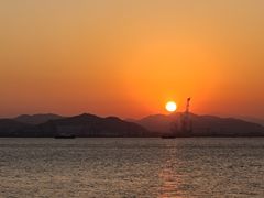 -演武大桥观景平台