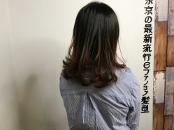 中发-藤野造型