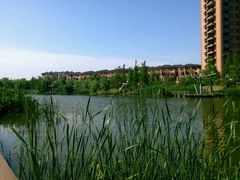 -映月湖中央公园