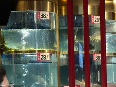 -蜀滋香鲜鱼美蛙火锅(339店)