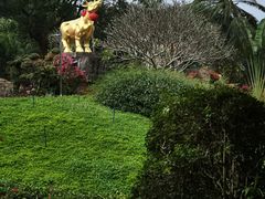-万绿园
