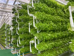 -兰陵国家农业公园