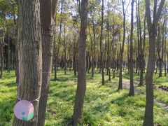 -嘉北郊野公园