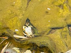 -华蓥山天意谷景区