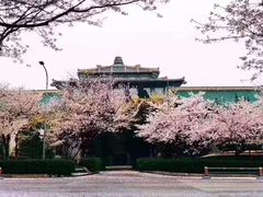 -武汉大学-樱园