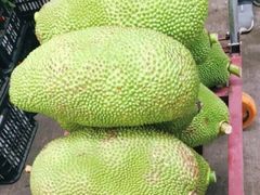 -三亚新鸿港水果一级批发市场