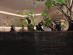 -雲說·花(西宸天街店)