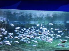-蓬莱欧乐堡海洋极地世界
