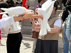 -天津妈祖文化园