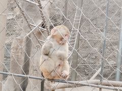 -北宫国家森林公园