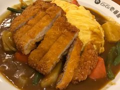 -COCO壱番屋(北京平安国际金融中心店)