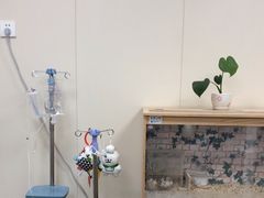 -美联众合爱康动物医院•复杂内科•肿瘤科•牙科•腔镜诊疗中心
